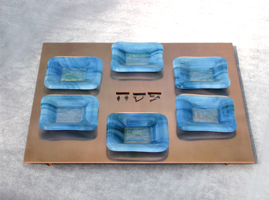 Copper and Kiln-formed Glass Seder Plate